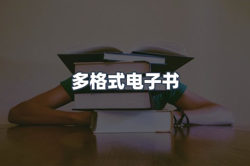 多格式电子书